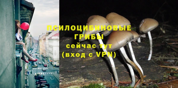 мяу мяу кристалл Армянск