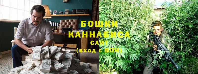 Бошки марихуана SATIVA & INDICA  цены наркотик  Зея 